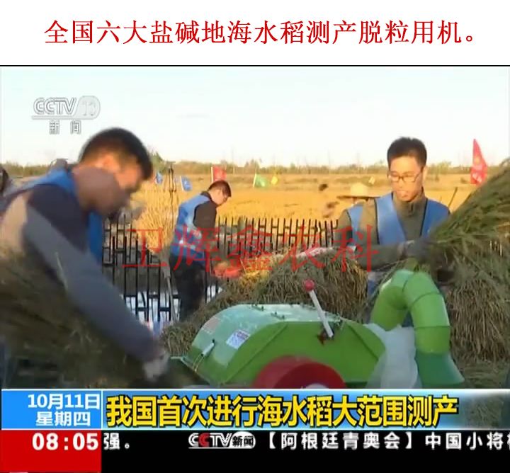 全國六大鹽堿地海水稻測產(chǎn)脫粒用機(jī)