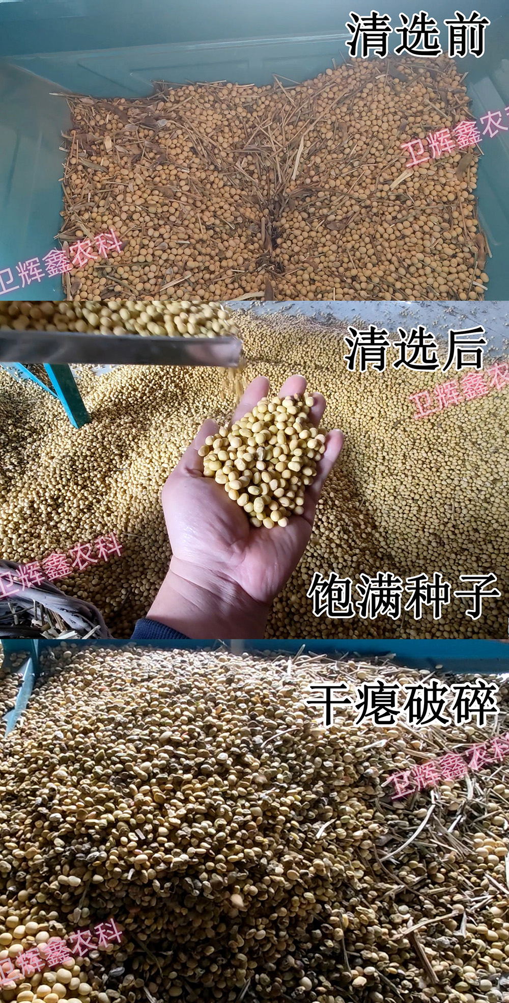 300-1篩選對(duì)比2