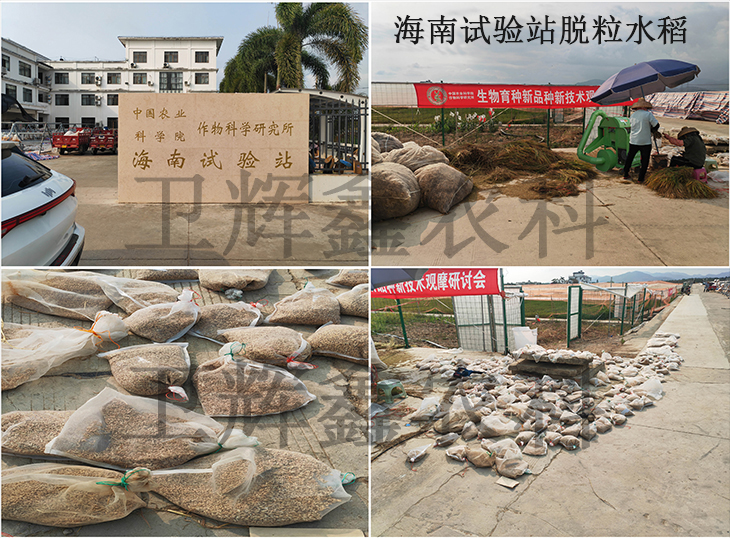 海南試驗站